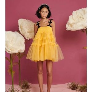 NWT Sister Jane
Moonlight Meadow Tulle Mini Dress